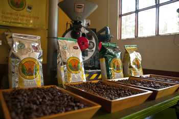Poás Volcano, Doka Coffee, La Paz Waterfall